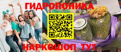 гидропоника Дубна