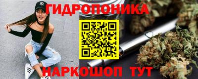 Альфа ПВП Донецк